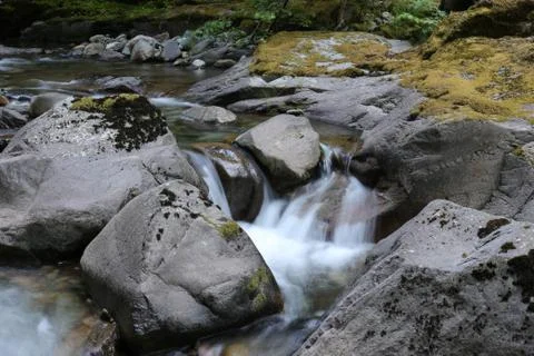 Long exposure of stream in Oregon Stock Photos