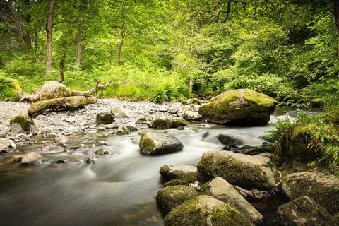 Long exposure stream Fotos de archivo