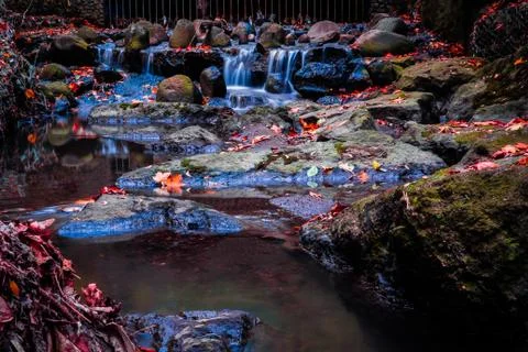 LONG EXPOSURE STREAM RUNNING OVER ROCKS WITH LEAVES 2 Stock Photos