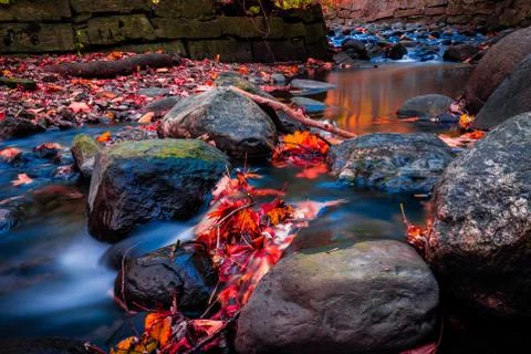 LONG EXPOSURE STREAM RUNNING OVER ROCKS WITH LEAVES 2 Stock Photos