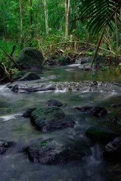 Long exposure streams in the forest that pass rock Stock Photos