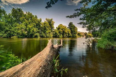 Long exposure of a tree in the river Saale in Paradies Park under blue sky and Stock Photos