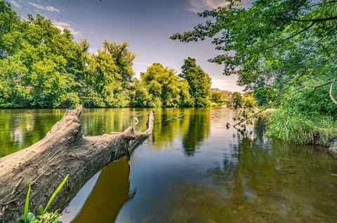 Long exposure of a tree in the river Saale in Paradies Park under blue sky and Stock Photos