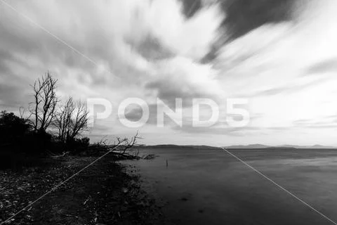 Long exposure view of a lake shore, with naked trees and moving white clouds Stock Photos
