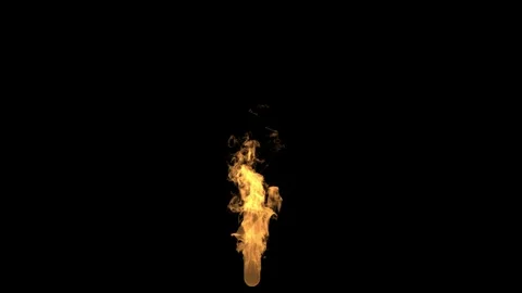 Long fire 1 Stock Footage 339287450