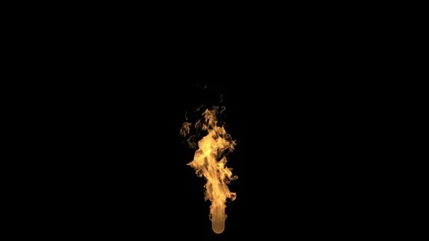 Long fire 2 Stock Footage 339287468