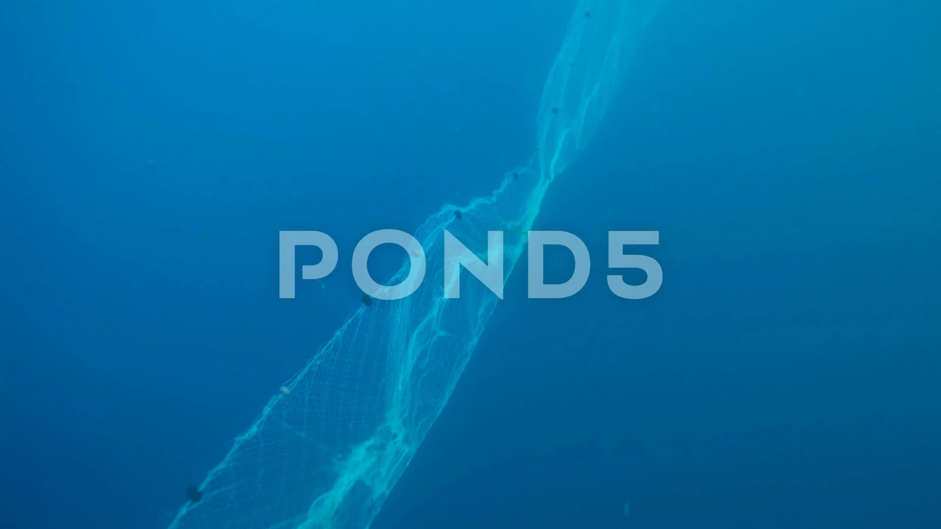 https://images.pond5.com/long-fishing-net-under-sea-144678947_prevstill.jpeg