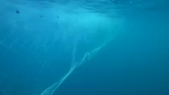 Fishing Net is Goind Down Underwater, Stock Video