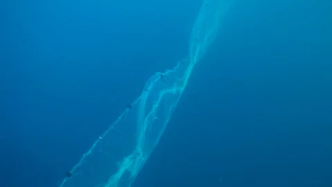 https://images.pond5.com/long-fishing-net-under-sea-footage-144678947_iconl.jpeg