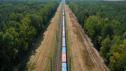 Long freight train carries cargo goods in container Video stock 314707230