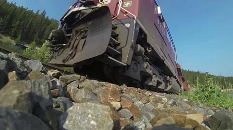 Long Freight Train Rushes By Camera in Forested Nature Setting Stock Footage 55012636