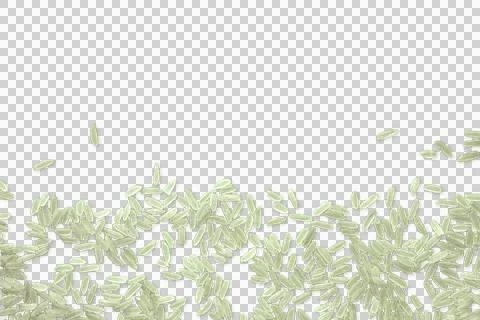 Long grain rice border template with copy space Stockfoto's