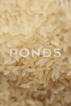 Long Grain Rice (Full Frame)