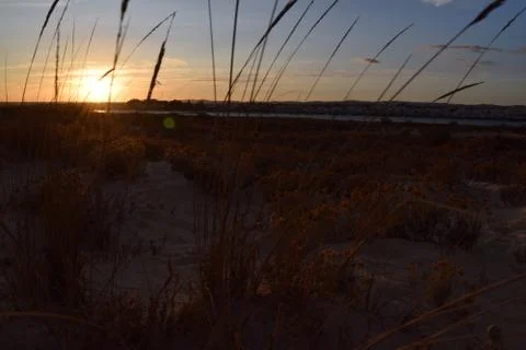 Long Grass at the Beach moving in the Wind Infront of a Beautiful Town Stock Photos