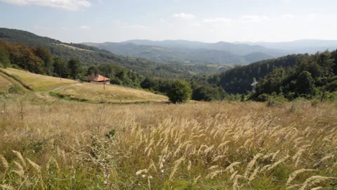 Long Grass Moving In The Wind. Stock Footage 154420325