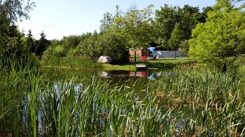 Long Grass Pond 3 Stock Footage 77575383