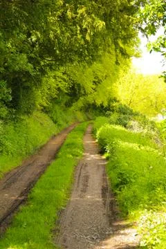 A long grass rural path Stock Photos