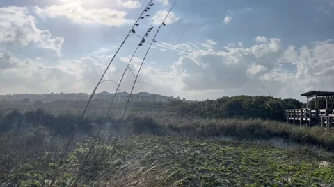 Long Grass Sand Dunes Path on the Beach Stockbeeldmateriaal 263360816