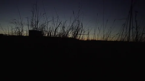 Long grass at sunset at coast uk dusk evening gimbal movement nature 스톡 동영상 99604690