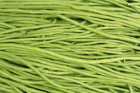 Long green beans background Stock Photos