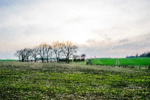 Long green field at sunset Stock Illustration