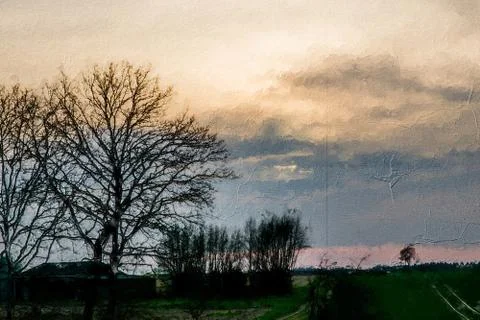 Long green field at sunset Stock Illustration