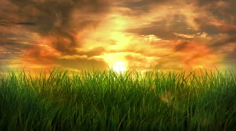 Long green grass waving over cloudy timelapsed sky. Loopable. Stock Footage 54837173