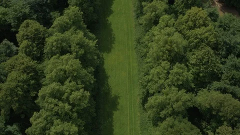 Long green lawn lined by large trees reveals large stately home, drone aerial 4K Stock Footage 101138299