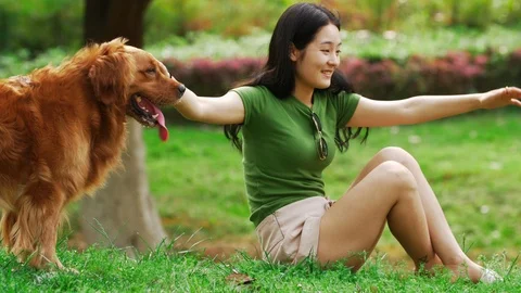 Long hair Sex asian woman with two dogs | Stock Video | Pond5