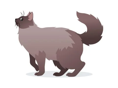 Long-haired cat with long fluffy tail icon, pet isolated on white background Stock-Illustration