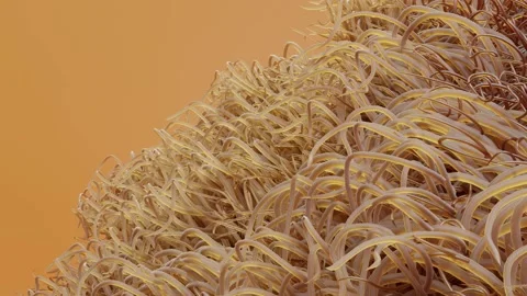 Long-haired fur pompon, ball of hair, cotton wool, fluffy ball, furry sphere, Stock Footage 229869040