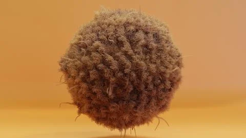 Long-haired fur pompon, ball of hair, cotton wool, fluffy ball, colorful furry Illustrazione stock