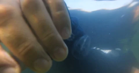 Long-haired man in black clothes falls into the water and drowns 스톡 동영상 145922649