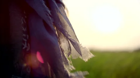 Long-haired man standing in rice field Stock Footage 63077966