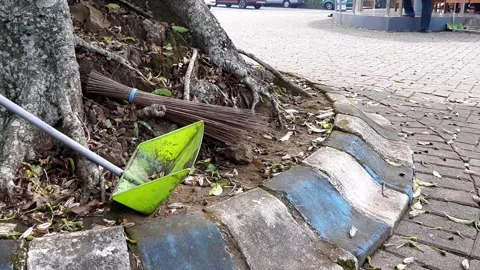 Long Handle Dustpan Or Broom On Paved Yard Under Tree Showing Environmental Care Stock Footage 317777632