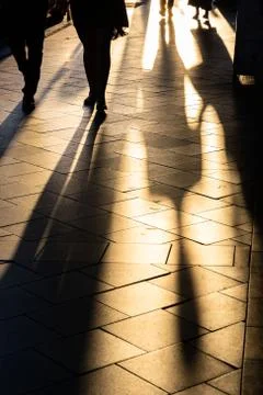 Long human shadows projected on the pavement at sunset Stock Photos