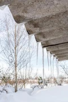 Long icicles on the edge of the slate Stock Photos