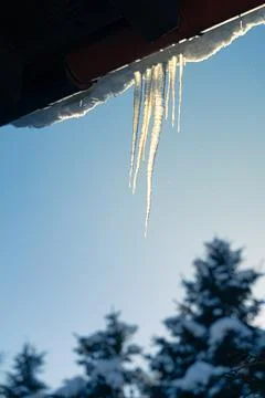 Long icicles hanging from gutter on cold winter afternoon. Stock Photos