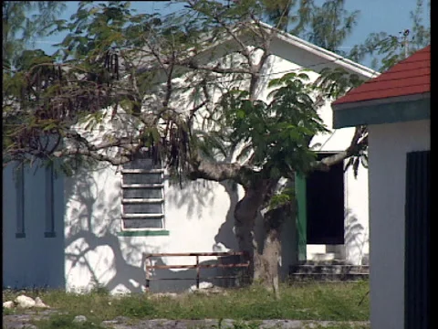 Long Island Simm's settlement a house with a tree in front of the door Video stock 138606766