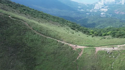 Long  lantau trails Video stock 196290396