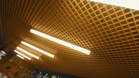 Long led lamps installed on ceiling grid in cafeteria Stock Footage 218626161