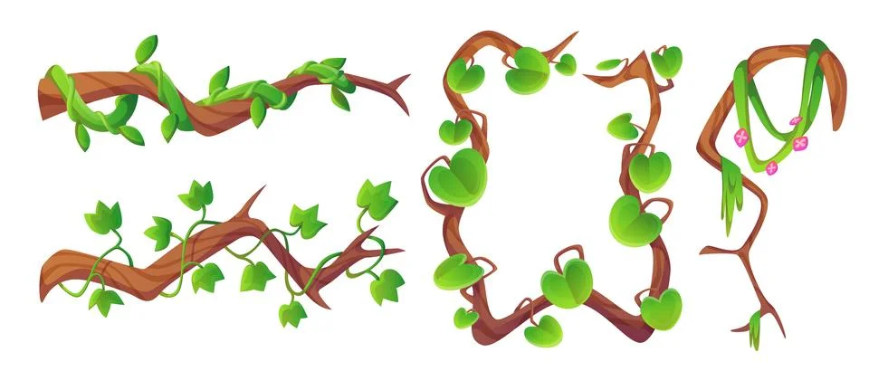 Long liana vine and rectangular frame Stock Illustration