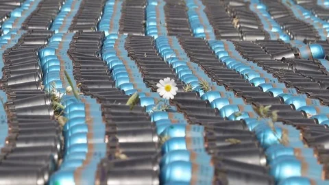 Long line of of explosive rounds with one flower sticking out between them, Stock Footage 112532127