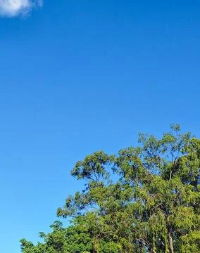 Long live the blue sky Stock Photos