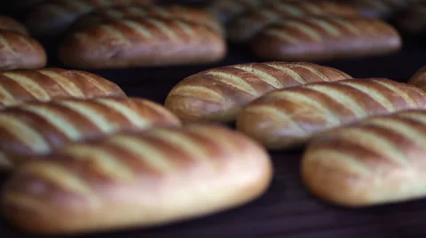 Long loaf at bakery on the production line Stock Footage 58085605