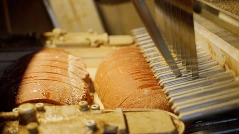 Long loaf cutting machine cuts bread at the bakery Stock Footage 250267317