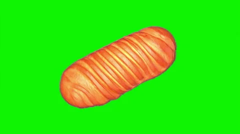 Long loaf rotating 02 Stock Footage 43459773