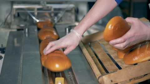 Long loaves of baked bread are put on the conveyor to be packed, left view. Stock Footage 85905171