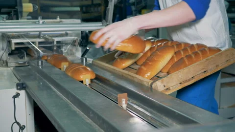 Long loaves of bread are put on the conveyor  and are being packed. Stock Footage 85899400