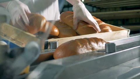 Long loaves of bread are put on the conveyor to be packed. Stock Footage 85899986